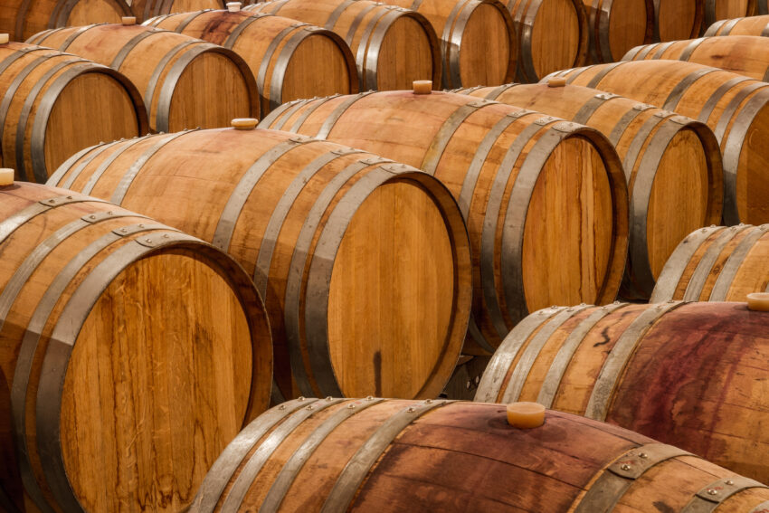 Rows of oak wine barrels stacked in a winery cellar