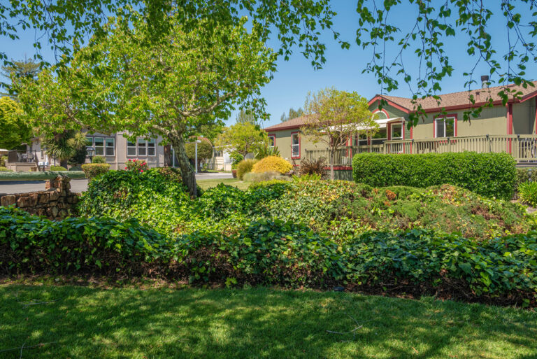 Manufactured homes at a 55-plus mobile home park in California