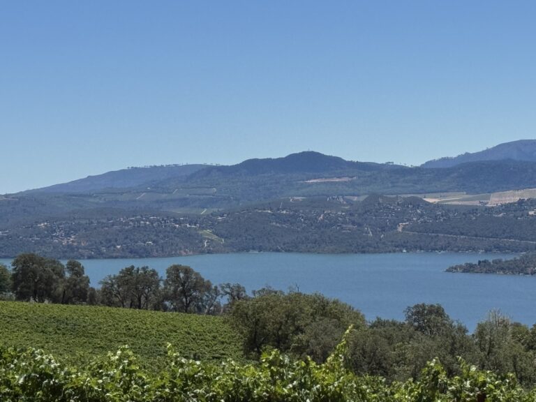 Clear Lake seen from a vineyard-covered hillside near Glenhaven in Lake County