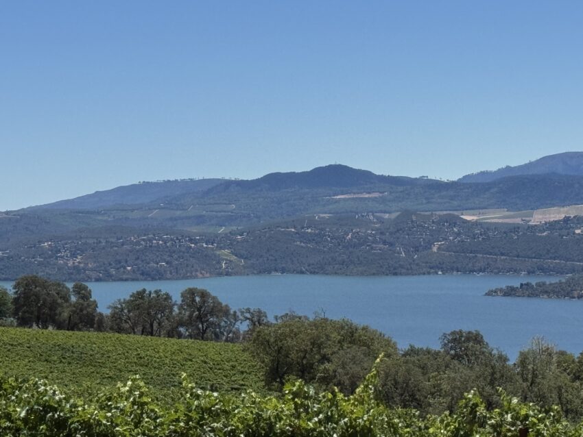 Clear Lake seen from a vineyard-covered hillside near Glenhaven in Lake County