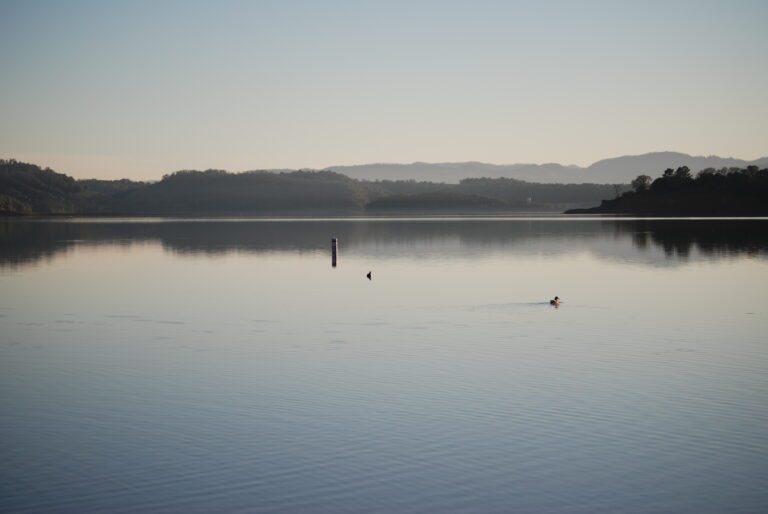 Lake Mendocino near Ukiah, California, seen from the northern shore