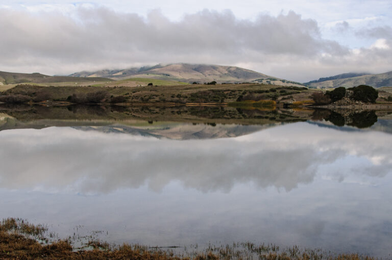 Still water of Nicasio Reservoir in West Marin County, with bare hills reflected under an overcast sky