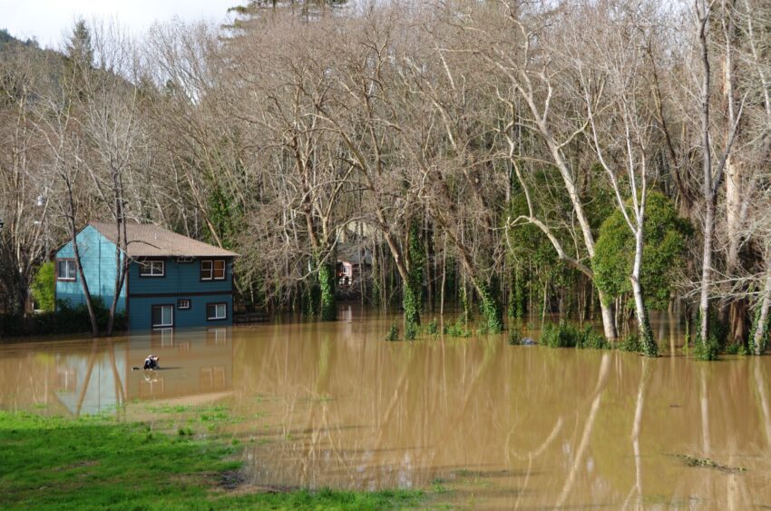 A two-story house stands in brown floodwater among bare trees in Sonoma County