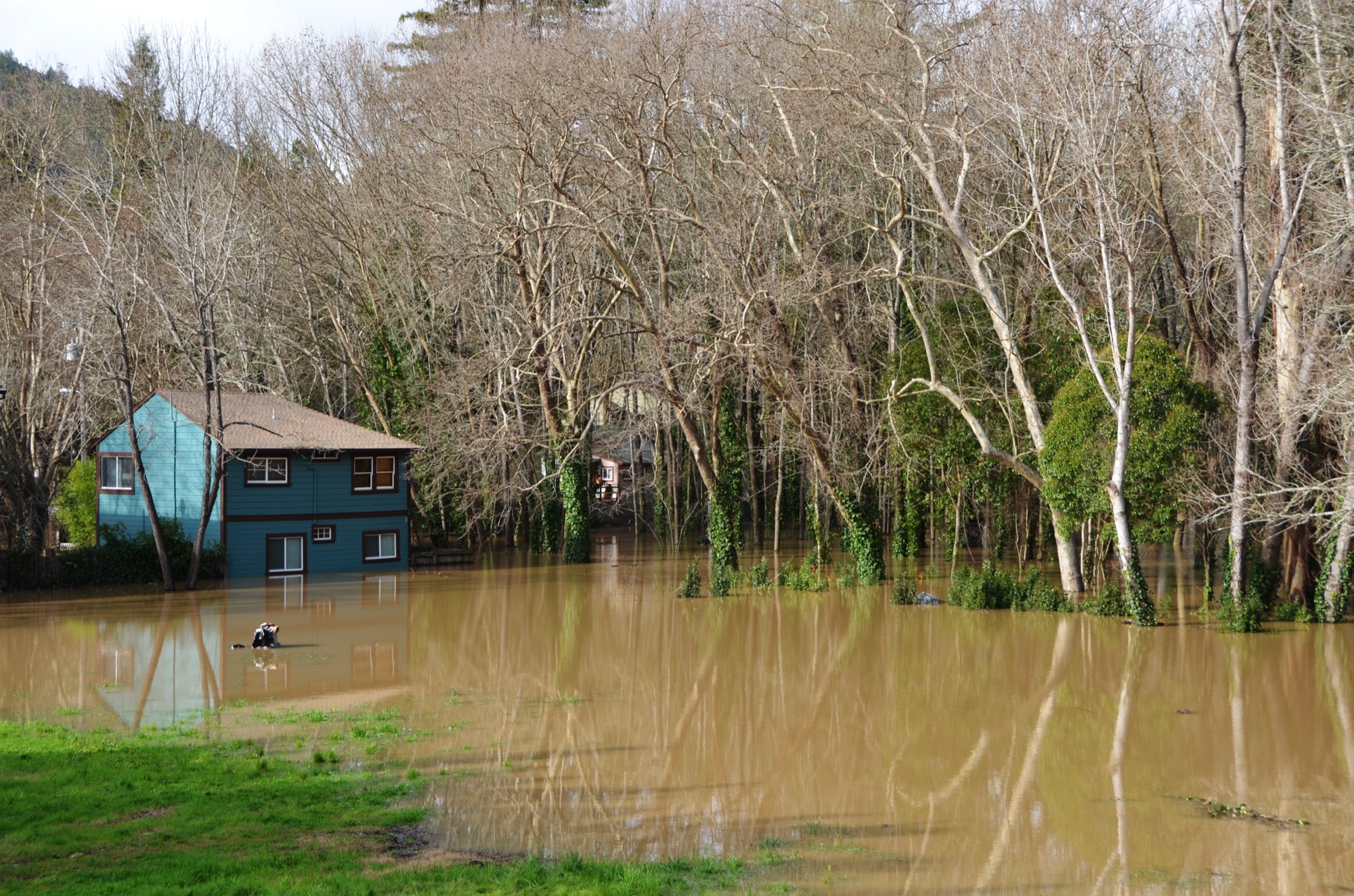 A two-story house stands in brown floodwater among bare trees in Sonoma County