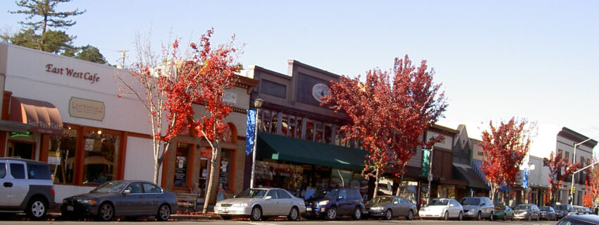 Storefronts and red-leaved street trees along Main Street in downtown Sebastopol