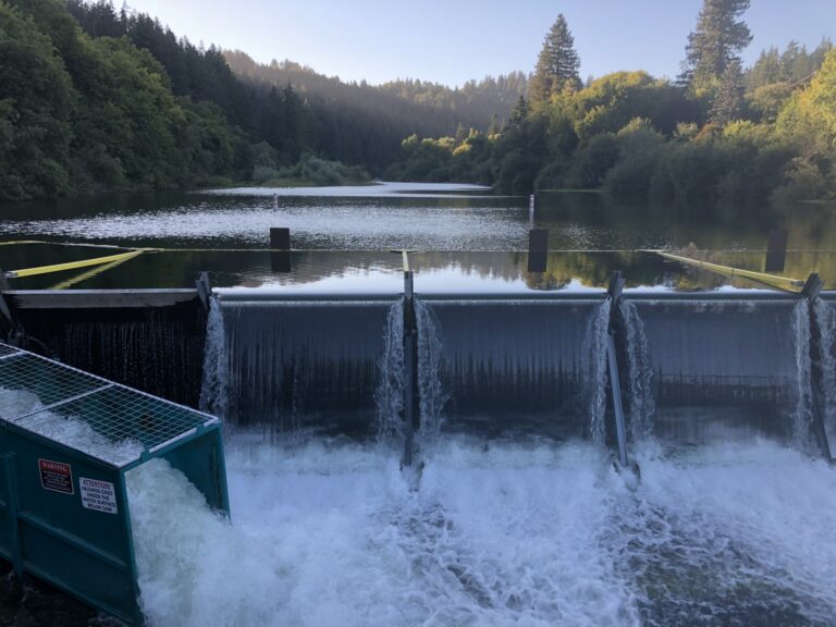 Vacation Beach dam, Aug. 1,