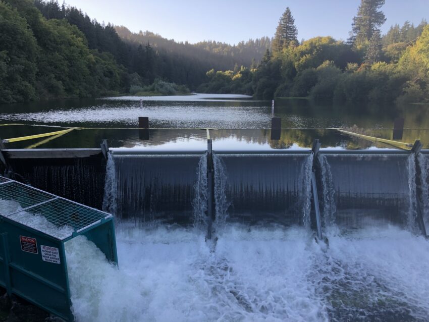 Vacation Beach summer dam on the Russian River near Guerneville, water spilling over flashboards beside the green fish ladder